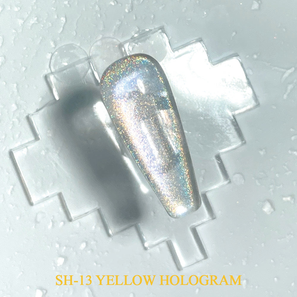 SUPER HOLOGRAM MAGNETIC GELS (5 TYPES)