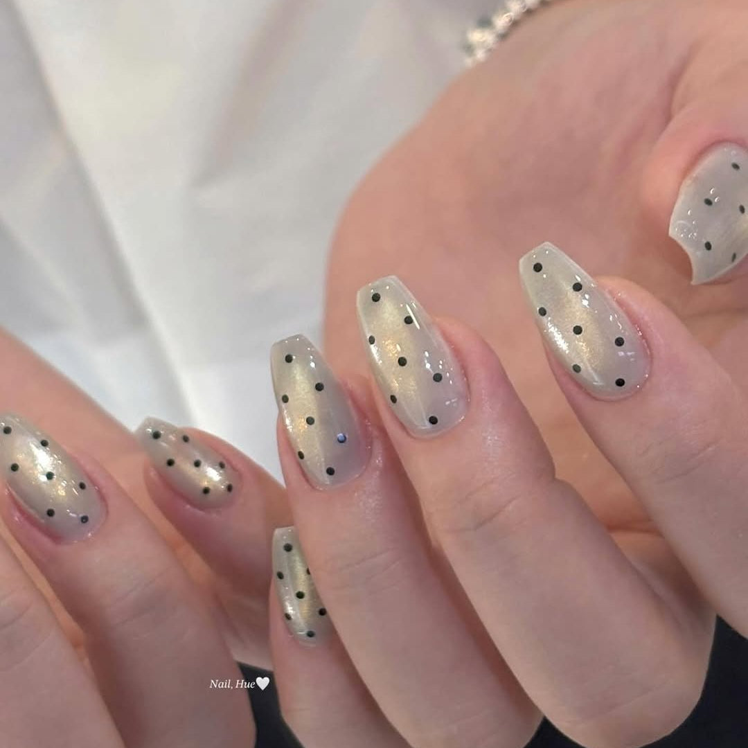 GOLDEN NOVA MAGNETIC COLLECTION