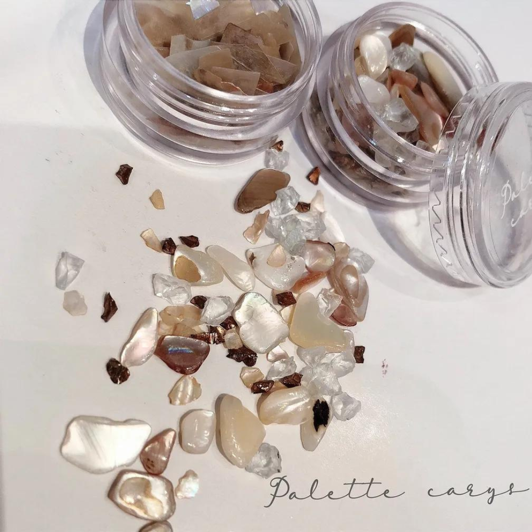 ANCIENT TREASURE SHELLS