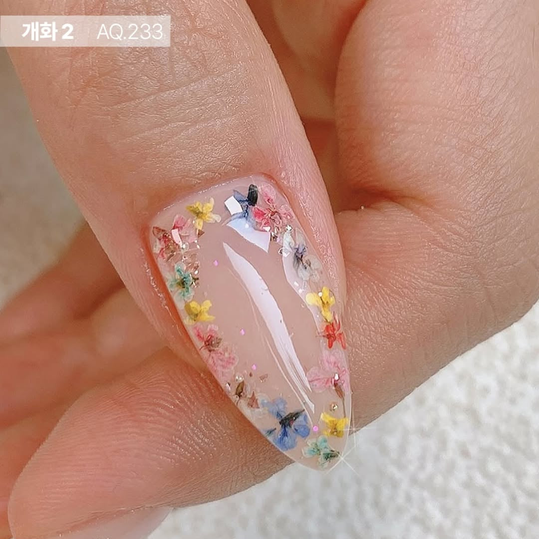 BLOSSOM 2 COLLECTION