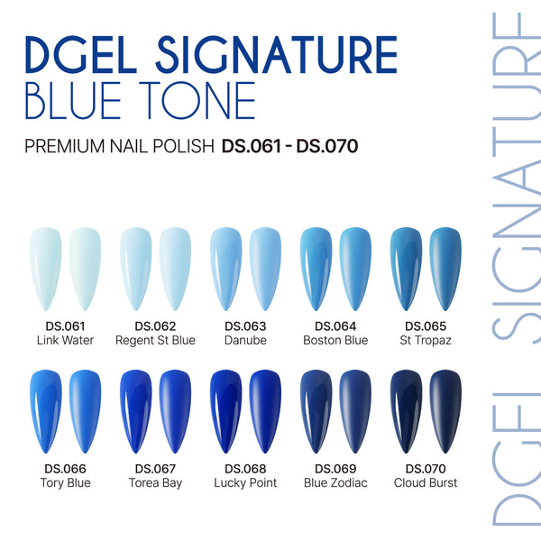 SIGNATURE COLOUR GEL DS.069 - BLUE ZODIAC