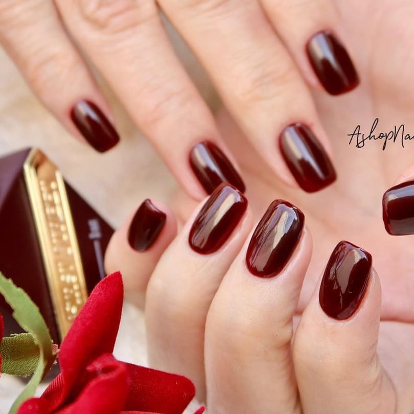 RED SAUCE COLLECTION