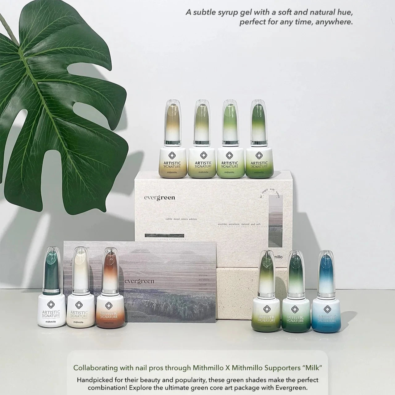 EVERGREEN SERIES (NON-WIPE)