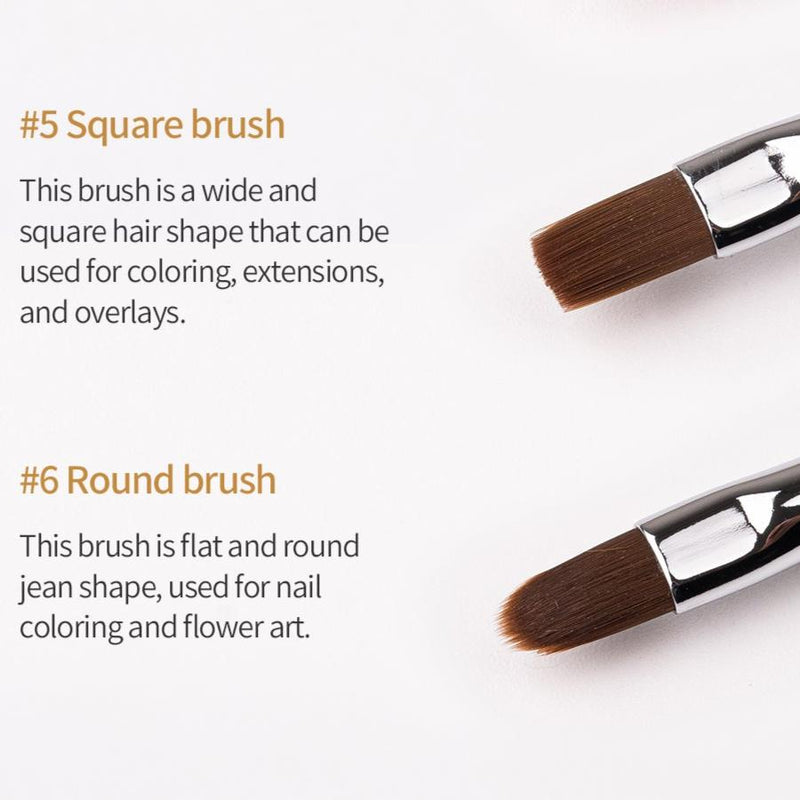 SIGNATURE BRUSH #6 ROUND