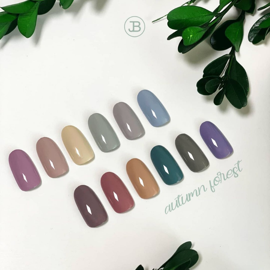 AUTUMN FOREST COLLECTION