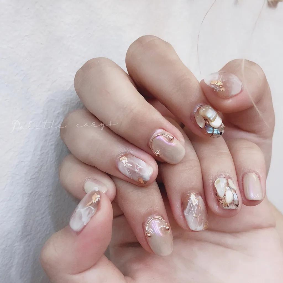 ANCIENT TREASURE SHELLS